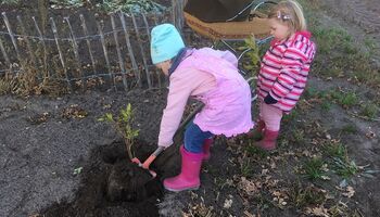 Harwerth Gärten_Kinderleicht die richtigen Pflanzen auswählen