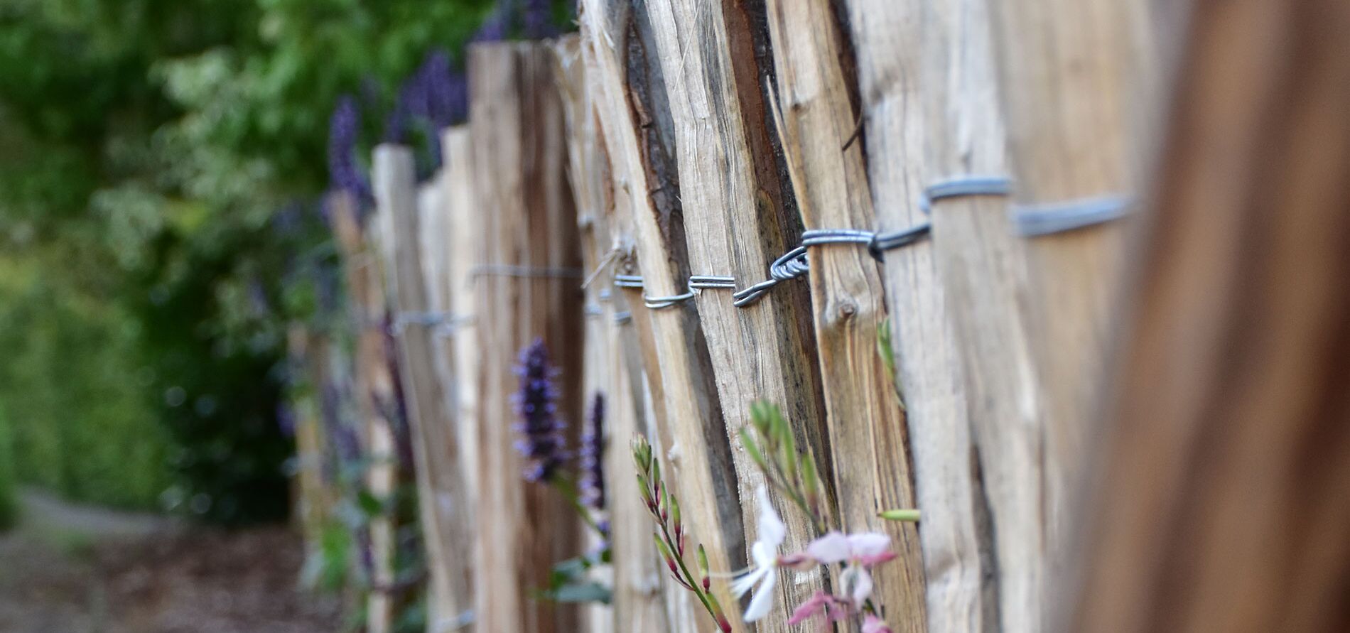 Lebe deinen Garten. Vor-Ort-Termine mit Gartenrundgang
