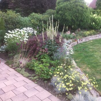 Entwürfe und Konzepte für deinen gesamten Garten