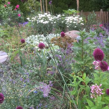 Pflanzplanung für einen ganzjährig schönen Garten